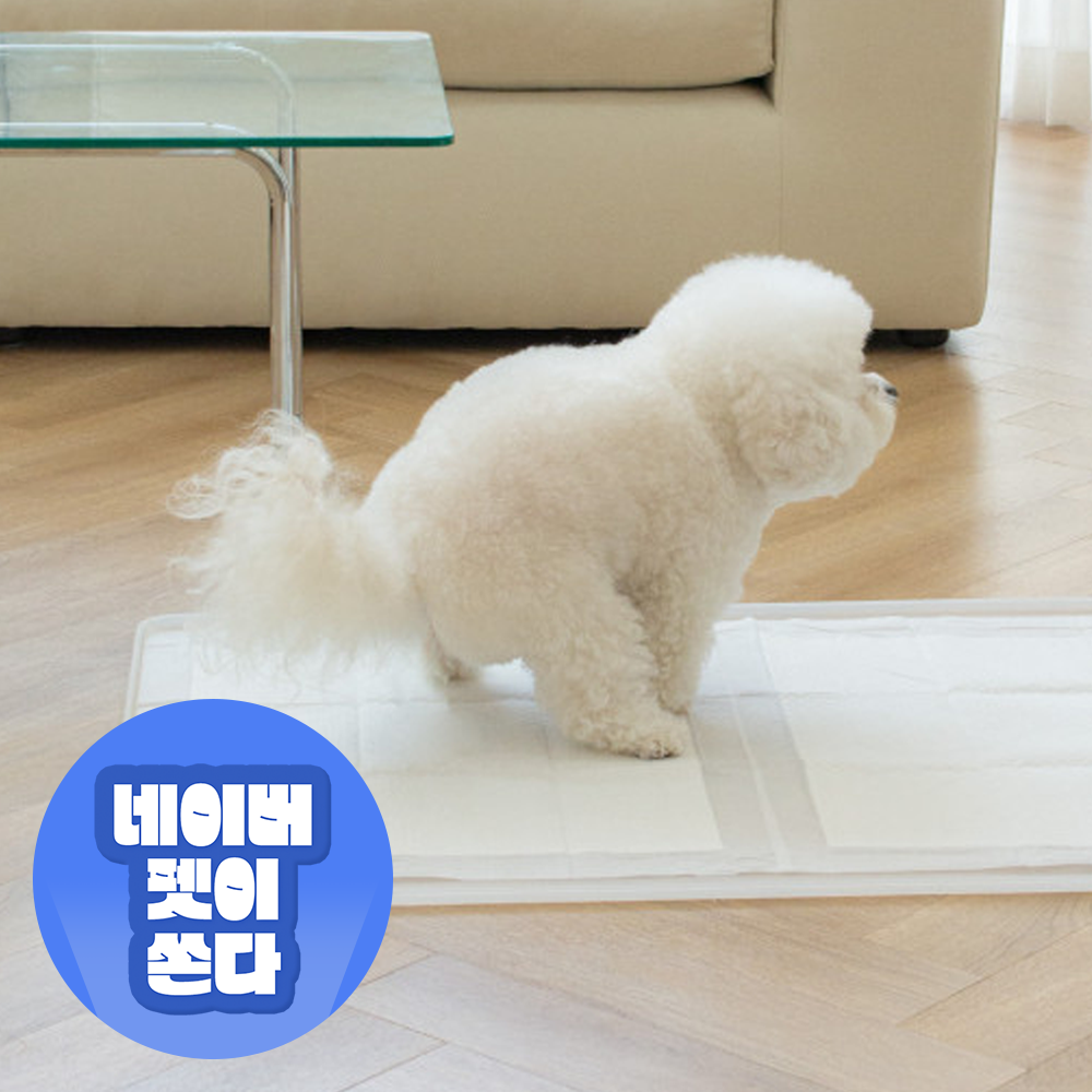 강아지 배변매트 애견 배변판 화장실 항균 실리콘 퍼펙트토일렛2.0 싱글 제품 이미지