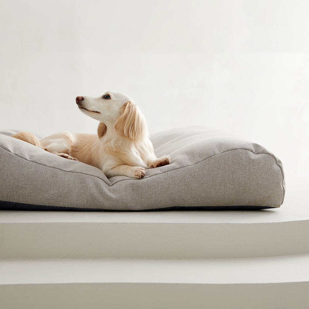 펫토 알러프리 방석 강아지 고양이 애견 쿠션 곡선형 스몰(47cm x 47cm)