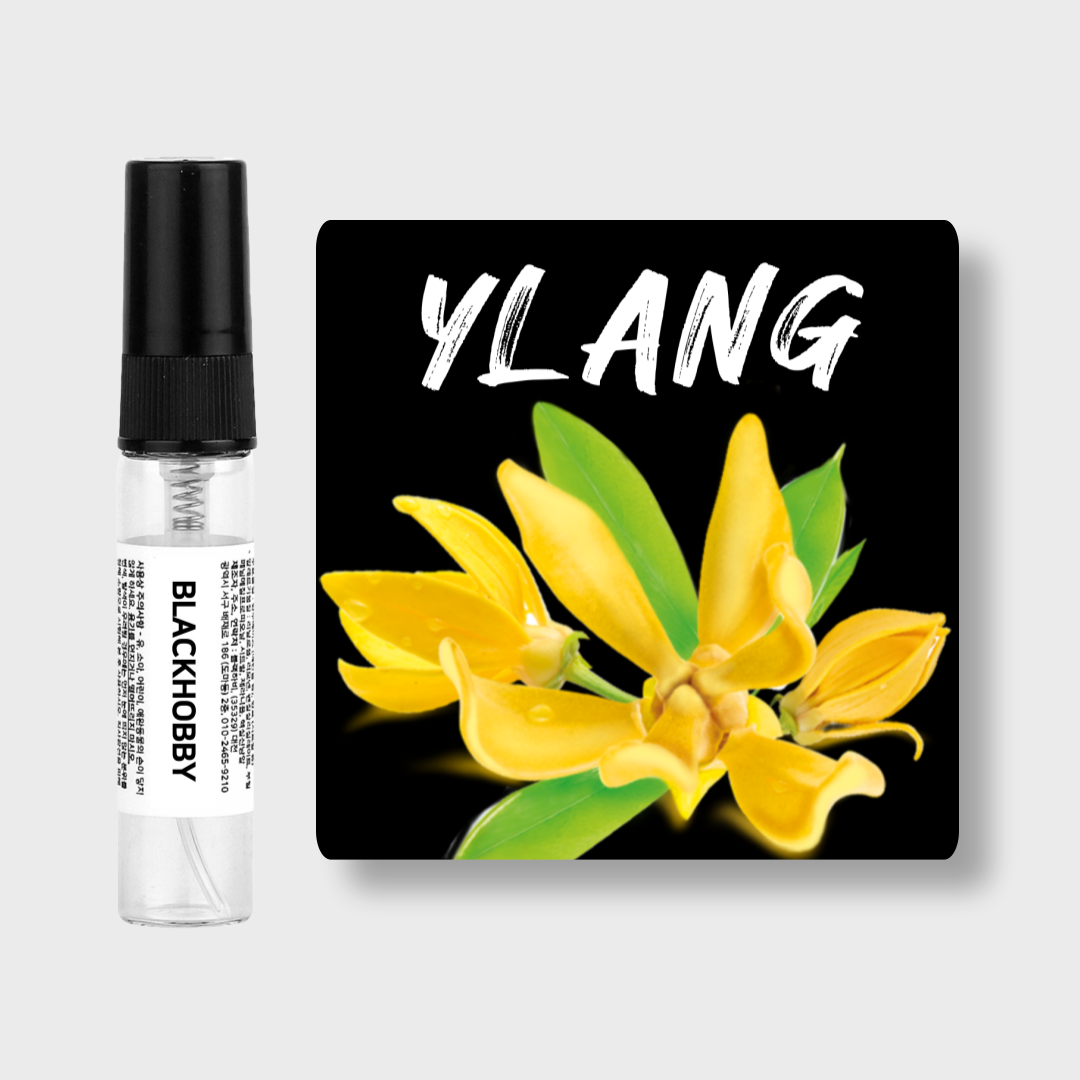[3+1] 일랑일랑 10종 4ml 고농축 드레스 향수 선물 포장 - 상품 이미지