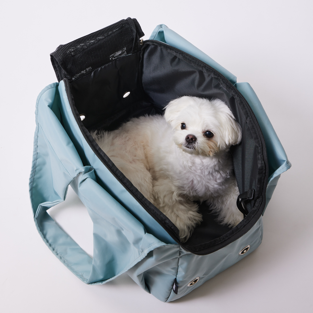 3651 이지캐리백 강아지 가방 고양이 이동장 캐리어 베이비 블루, 대형