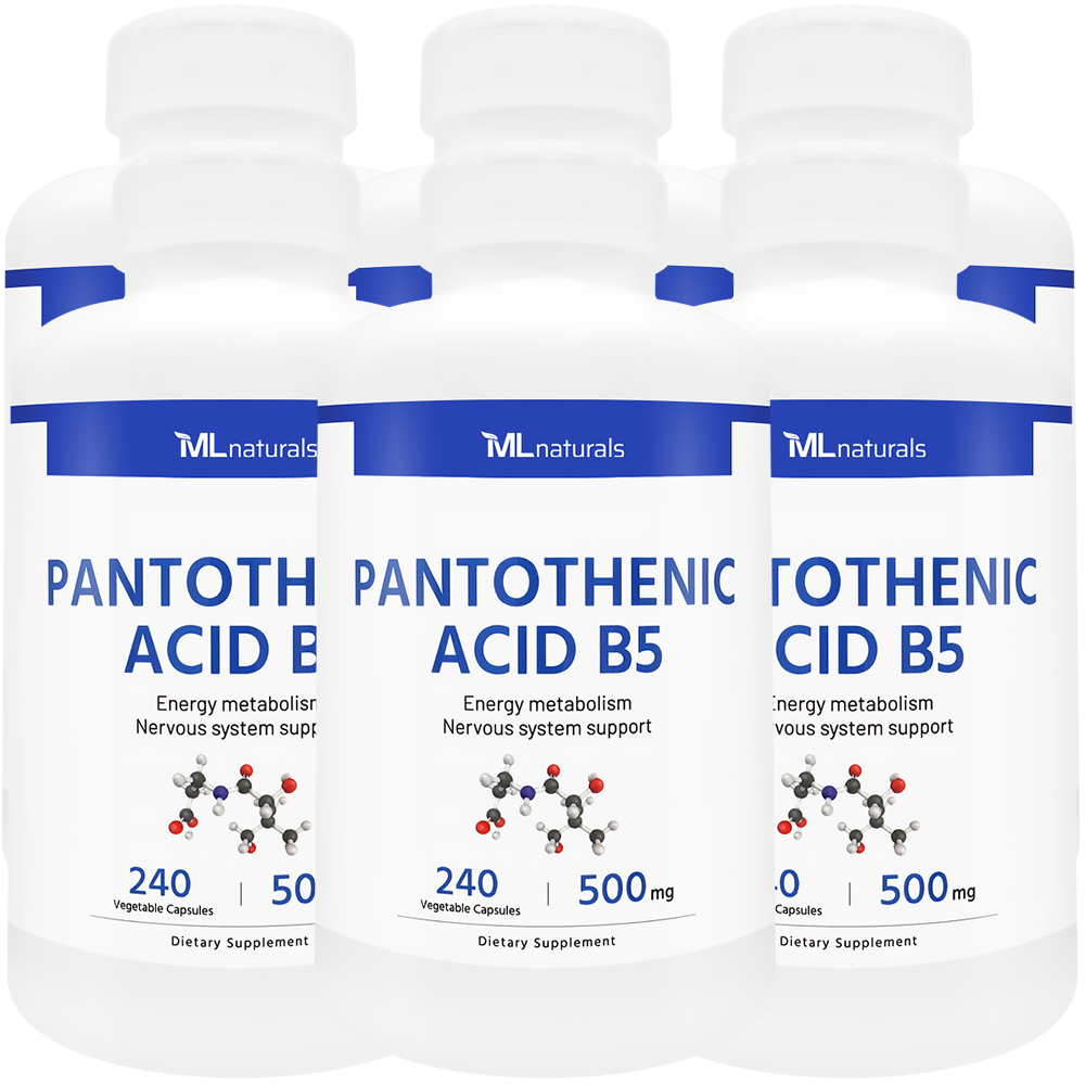 마이라이프내추럴스 판토텐산 B5 알약 500mg 240캡슐, 6개 - 메인 이미지