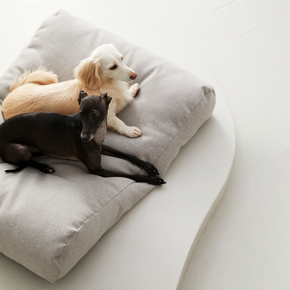 펫토 알러프리 방석 강아지 고양이 애견 쿠션 곡선형 스몰(47cm x 47cm)