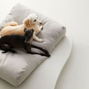 펫토 알러프리 방석 강아지 고양이 애견 쿠션 곡선형 스몰(47cm x 4... 솔직 후기 | 실제 사용자 리뷰 총정리 - 상품 이미지 2