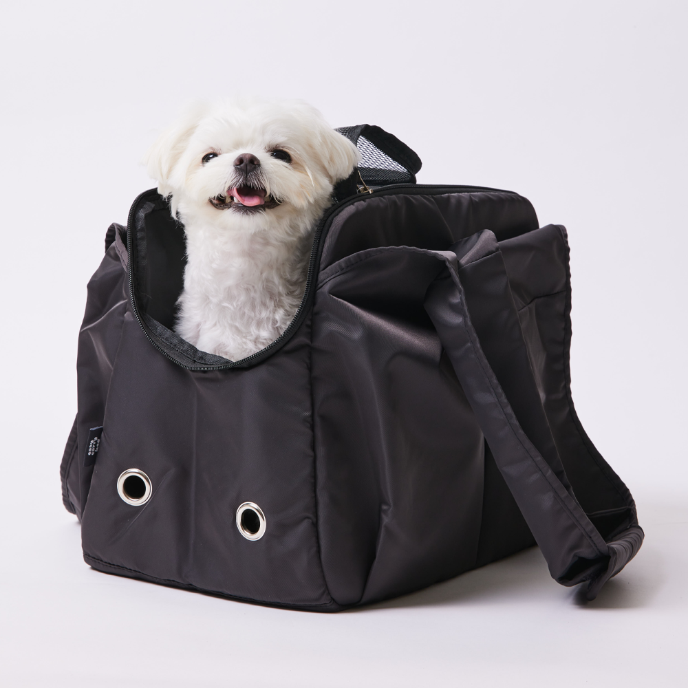 3651 이지캐리백 강아지 가방 고양이 이동장 캐리어 베이비 블루, 대형