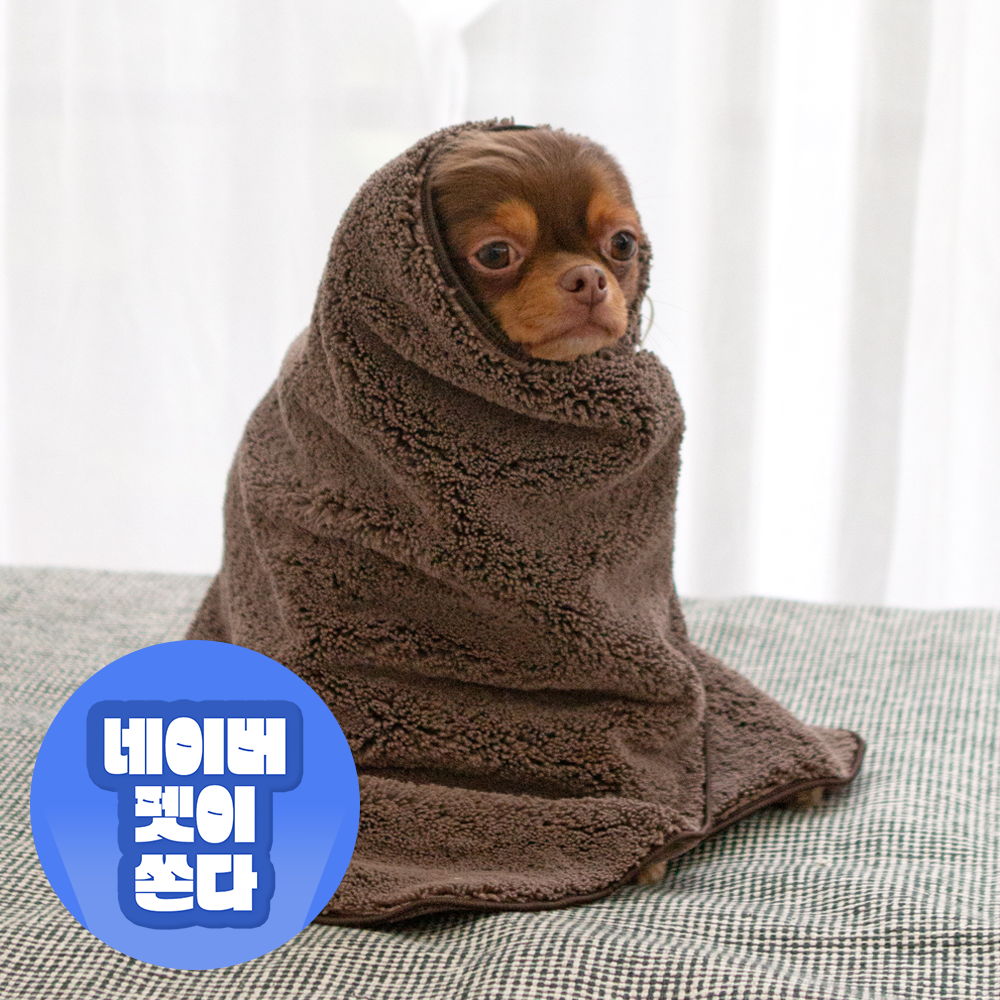 초코펫 강아지 타올 펫 목욕 수건 고양이 애견 시그니처 퀵 드라이 타올 일반형 제품 이미지