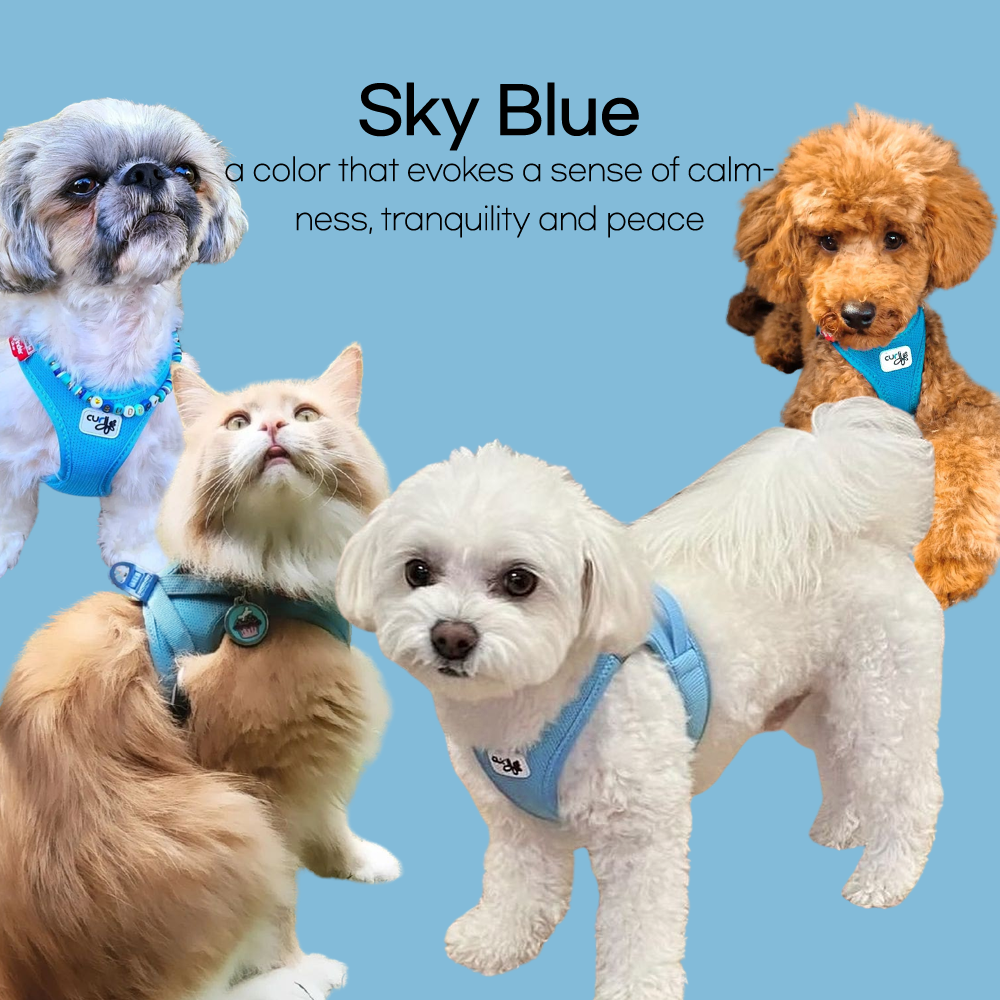 스위스 큘리 시그니쳐 하네스 스카이블루