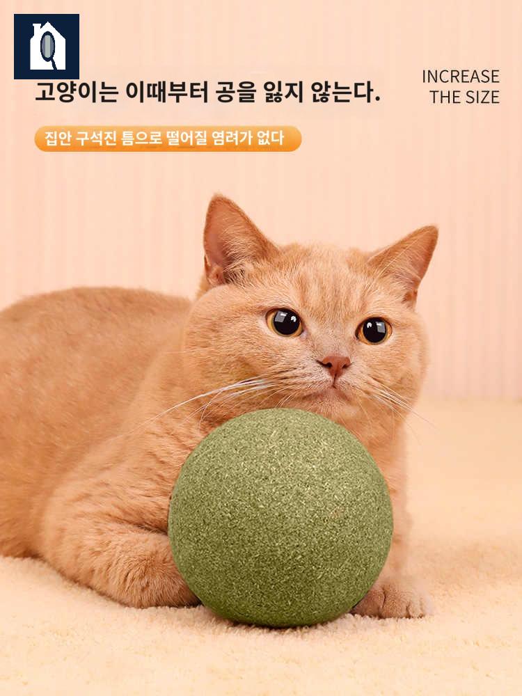공 캣닢 펫케어 고양이 생선 쥐돌이 볼 사탕 캣잎 장난감 - 상세 이미지 3