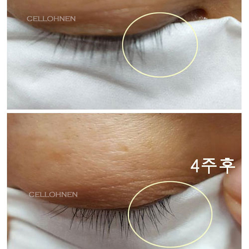 더블펩티 속눈썹영양제 눈썹 에센스 앰플 아이래쉬세럼 14ml - 상세 이미지 5