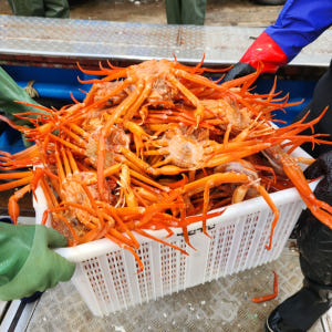 속초 홍게 살 붉은대게 제철 박달홍게 자숙 홍개 해각포 1kg 3kg 맛있게 먹은 솔직 후기 - 상품 이미지 3