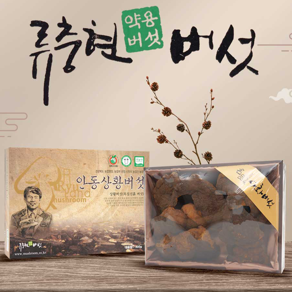국내산 뽕나무 상황버섯 참나무 농장 직송 상품 선물세트 300g - 상품 이미지