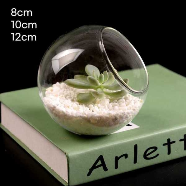 테라리움 만들기 젤캔들 원형볼 유리 화분 12cm - 상품 이미지