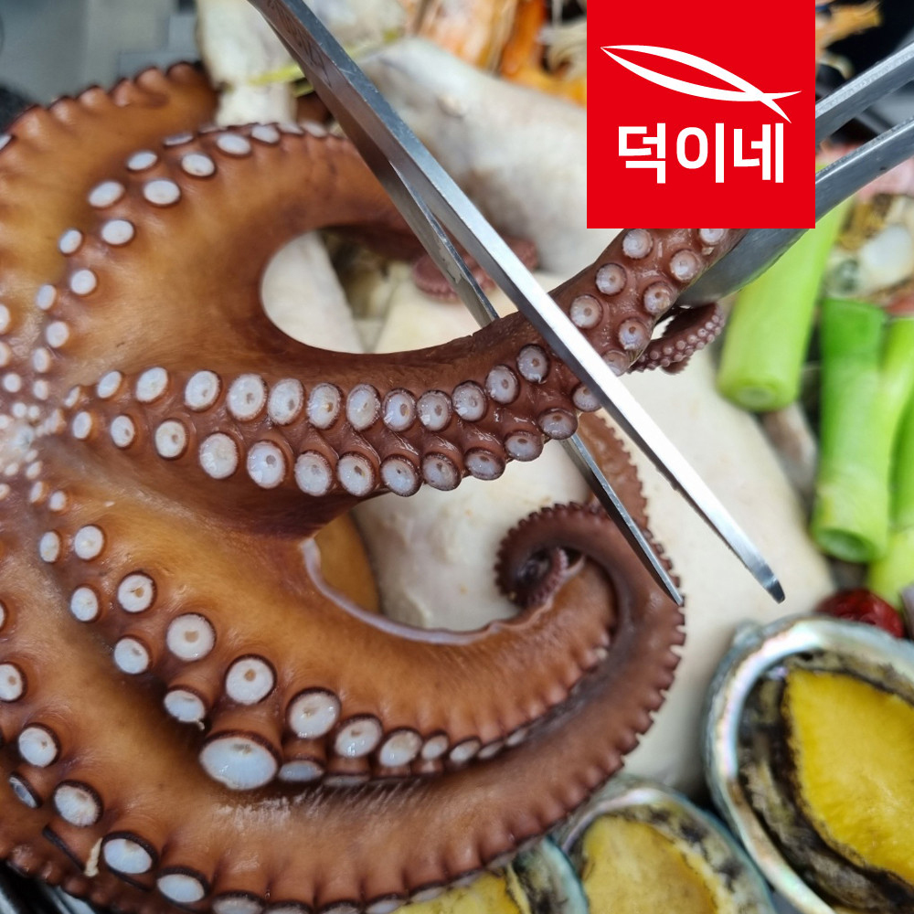 통영할매 푸짐한 명품 해신탕 2인분 3인분 4인분 - 상세 이미지 3