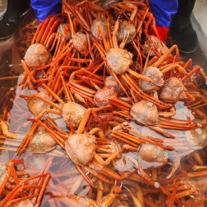 속초 홍게 살 붉은대게 제철 박달홍게 자숙 홍개 해각포 1kg 3kg 맛있게 먹은 솔직 후기 - 상품 이미지 4