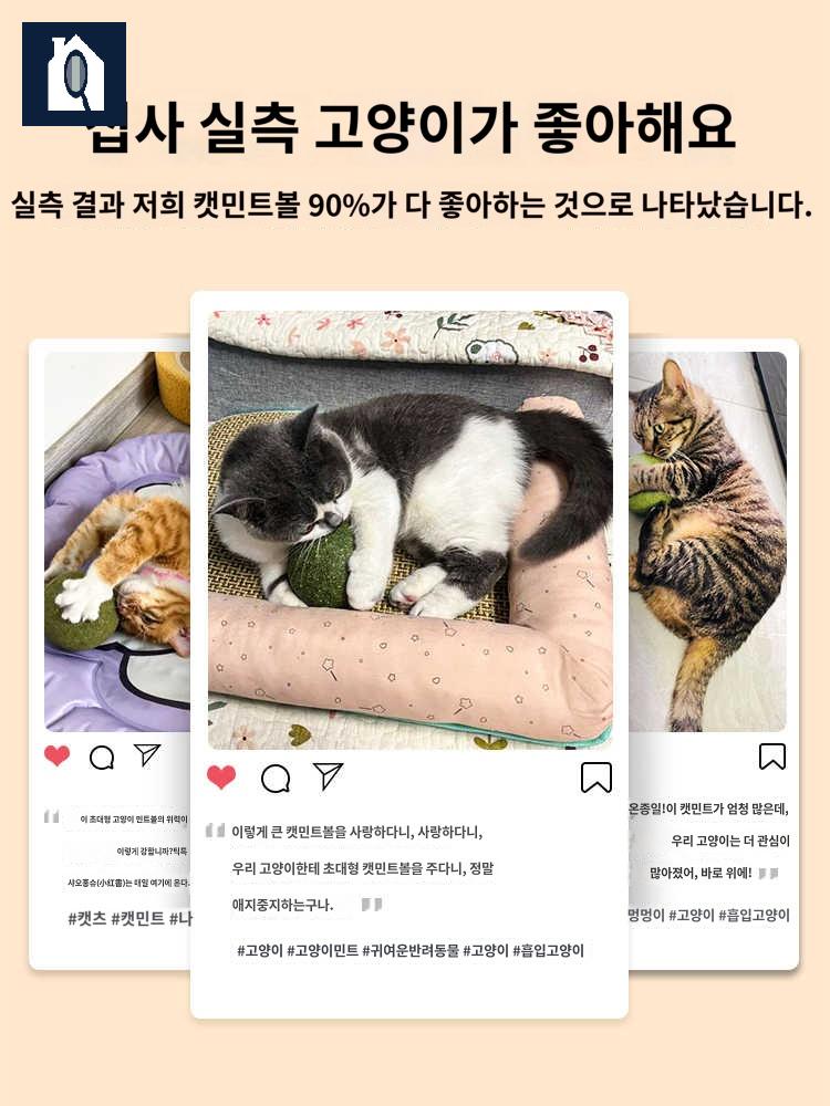 공 캣닢 펫케어 고양이 생선 쥐돌이 볼 사탕 캣잎 장난감 - 상세 이미지 5