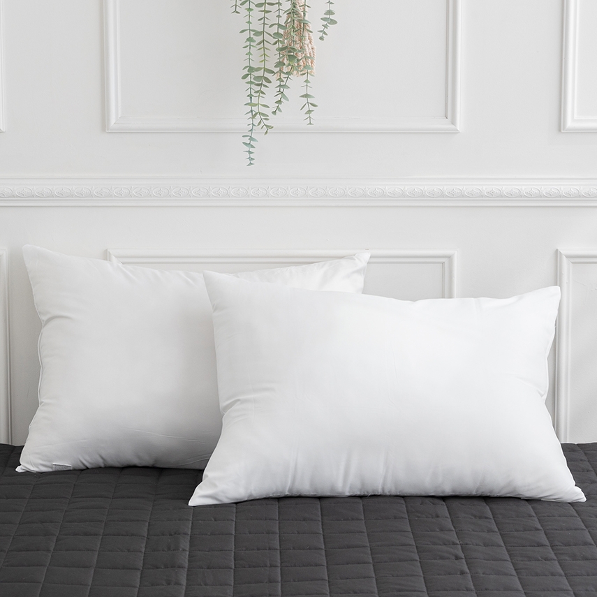 1+1 베개솜 40x60 스탠다드 훼더 일반