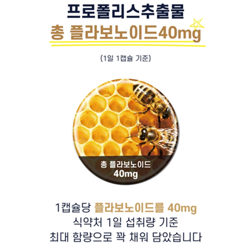 동신헬스케어 프로폴리스 추출물 60캡슐 2개월 플라보노이드 40mg 아연 셀레늄 면역 - 상세 이미지 2
