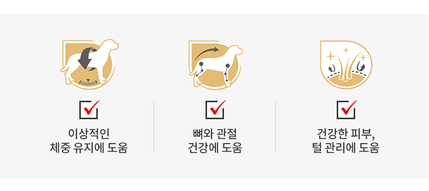 로얄캐닌 독 라브라도 리트리버 어덜트, 3kg, 1개 - 상세 이미지 4