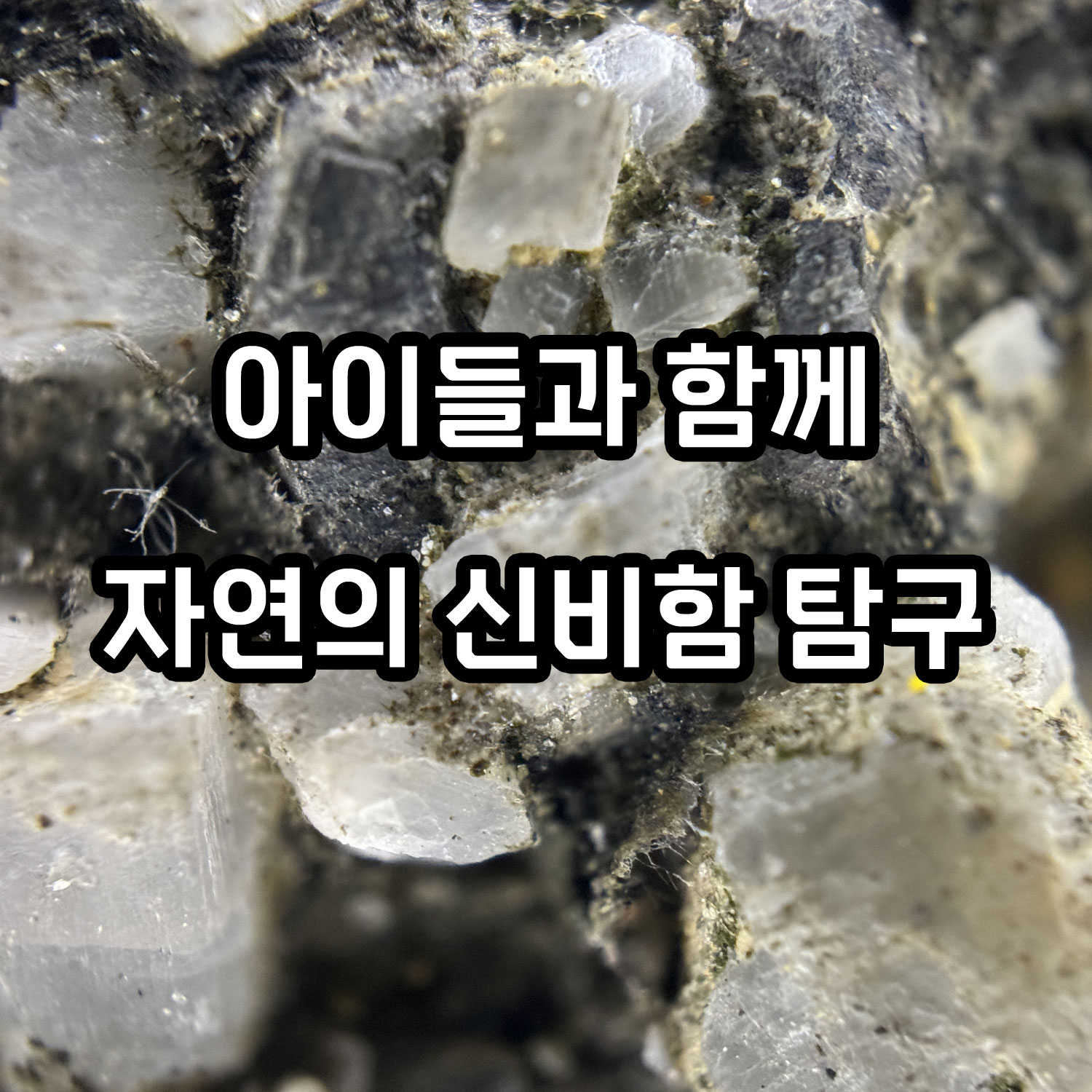 APEXEL 휴대용 현미경 200배율 접사 두피 모발 확대경 LED 탑재 디지털 고배율 - 상세 이미지 2