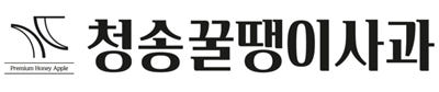 사과 청송 부사 꿀사과 당도선별 13브릭스 꿀땡이사과 3kg 5kg