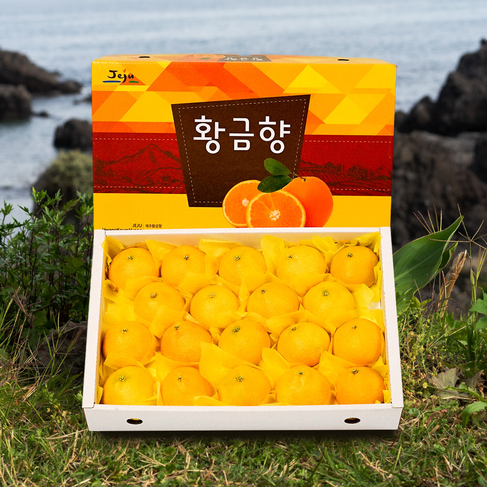 [농할20%] 국내산 제주 황금향 3kg 5kg - 상품 이미지