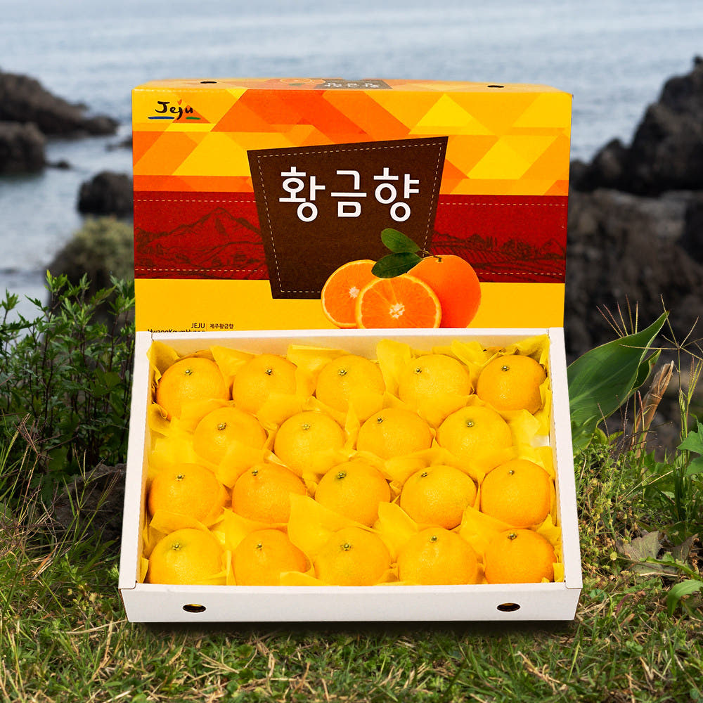 인하네 제주 황금향 3kg 5kg