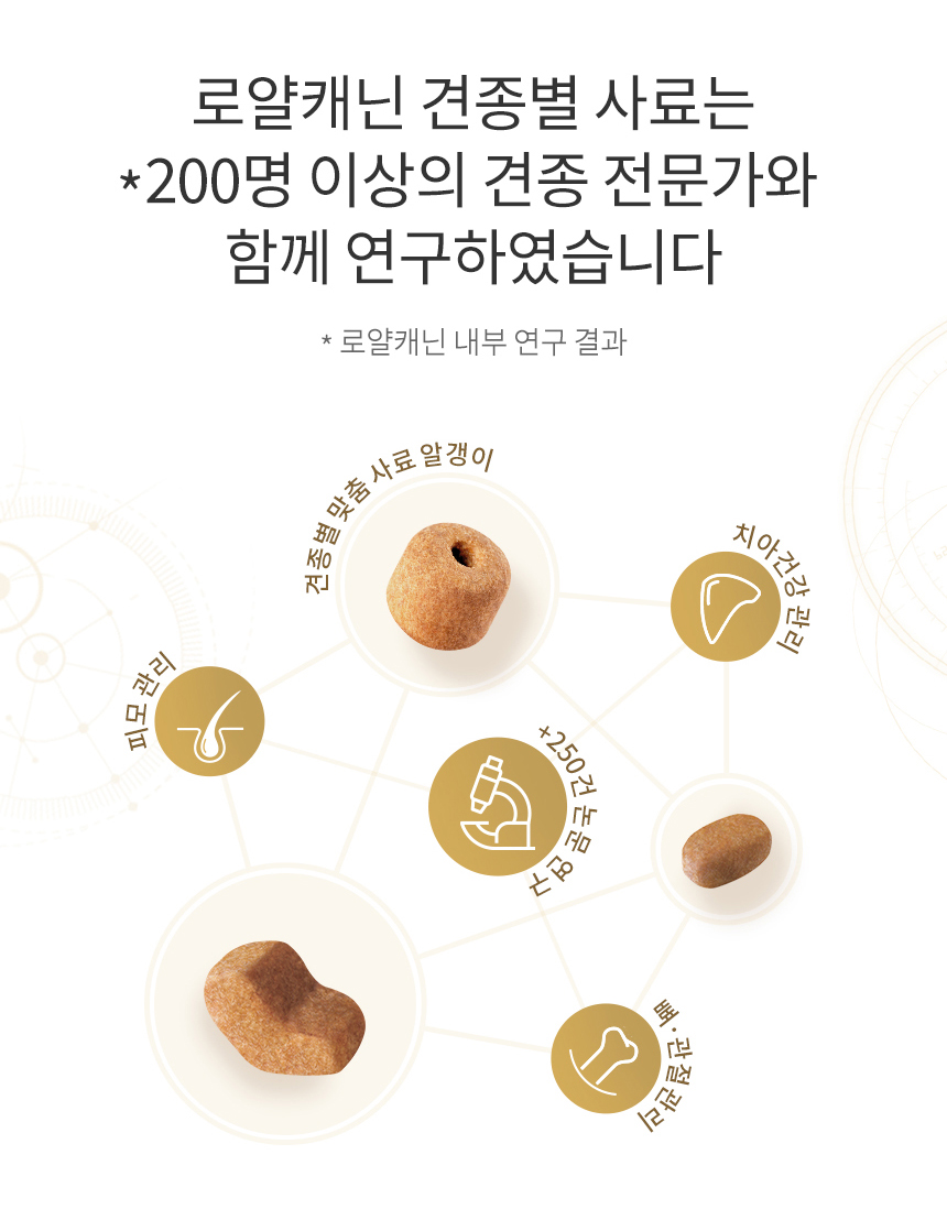 로얄캐닌 독 말티즈 어덜트, 500g, 1개 - 상세 이미지 5