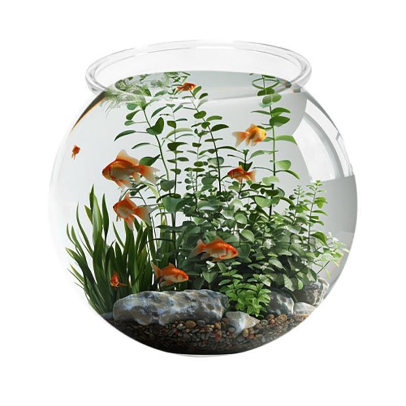 [초록끈] 아마존 투명플라스틱어항 (중) 13x20x18cm YG-205