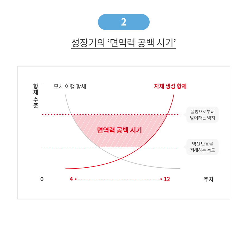 [유통기한 2027.01.28] 로얄캐닌 독 중형견 사료 미디엄 퍼피, 10kg, 1개