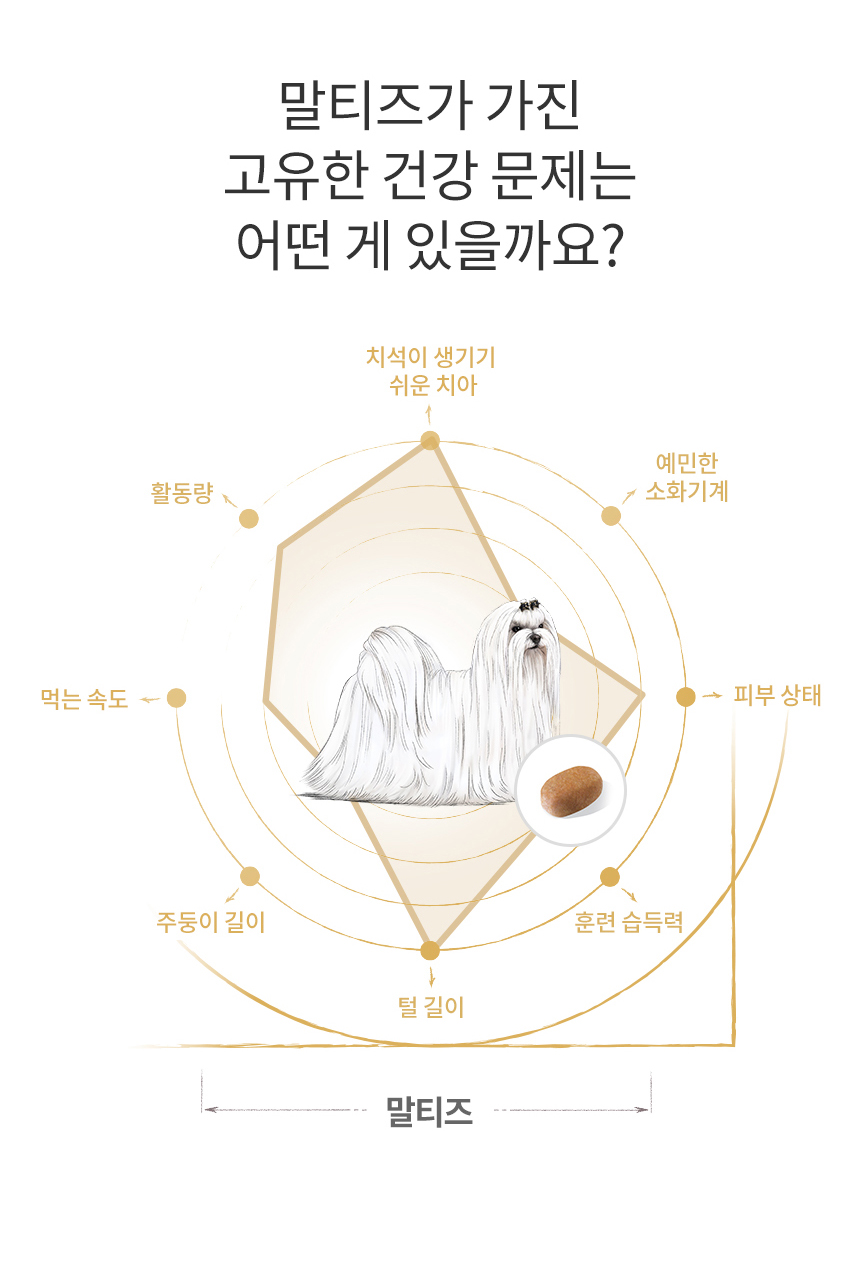 로얄캐닌 독 말티즈 어덜트, 500g, 1개 이미지 6