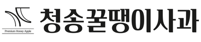 사과 청송 부사 꿀사과 당도선별 13브릭스 꿀땡이사과 3kg 5kg