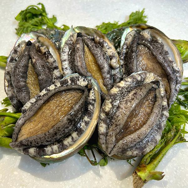 대유수산 완도전복(중)1kg(14~16미) : 피쉬세일
