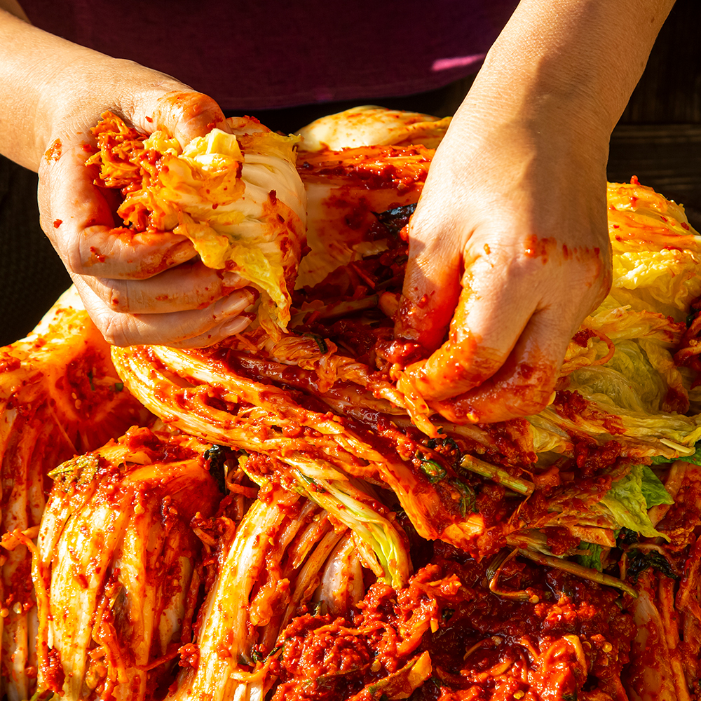 참가득 갓 담근 생김치 5kg 국내산 (서울/경상도/전라도) 배추김치 포기김치 주문