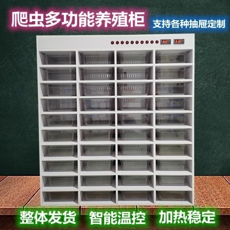 도마뱀 뱀 기르기 키우기 번식 상자 파충류 - 상세 이미지 3