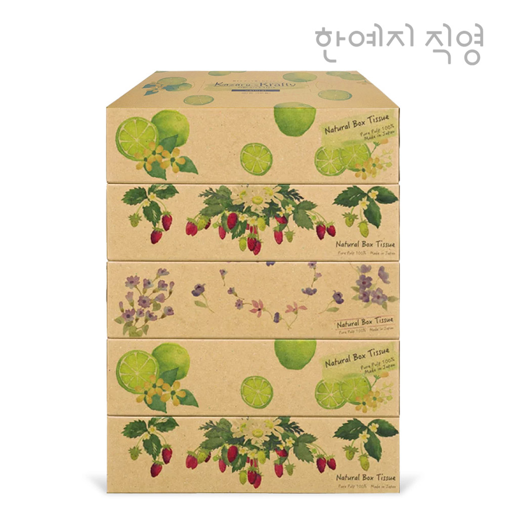 한예지x에르모아 일본 독점 직수입 미용티슈 180매, 5개 - 상세 이미지 2