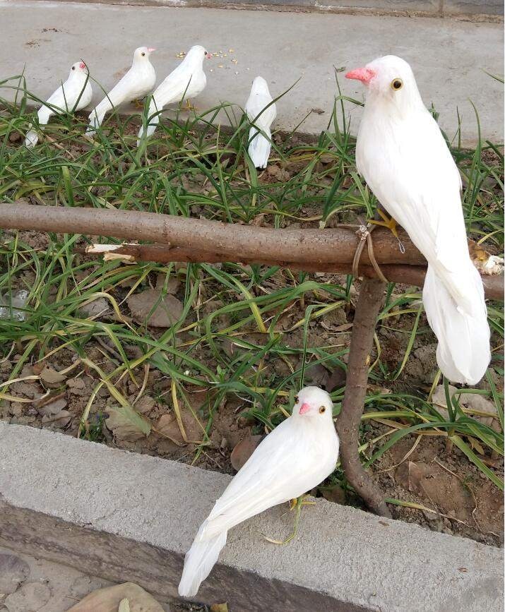 가짜 새 독수리 비둘기퇴치 조류퇴치 - 상세 이미지 3