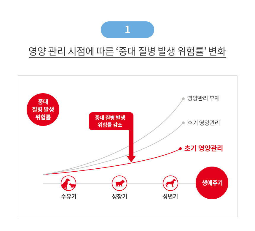 [유통기한 2027.01.28] 로얄캐닌 독 중형견 사료 미디엄 퍼피, 10kg, 1개