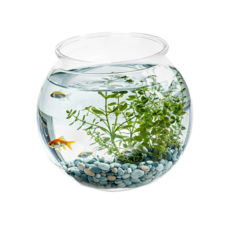 [초록끈] 아마존 투명플라스틱어항 (소) 11x17x16.5cm YG-175