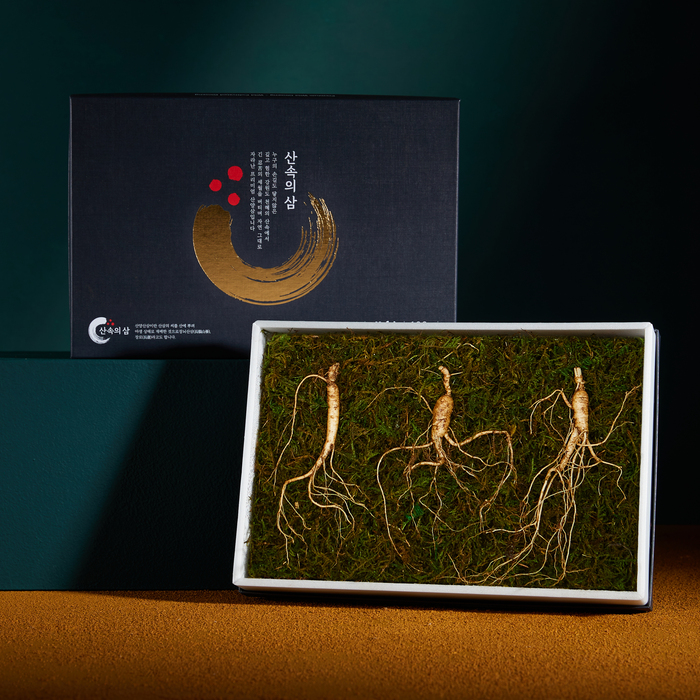 프리미엄 산속의삼 8년근 산양삼 3뿌리 산삼 장뇌삼 산양산삼