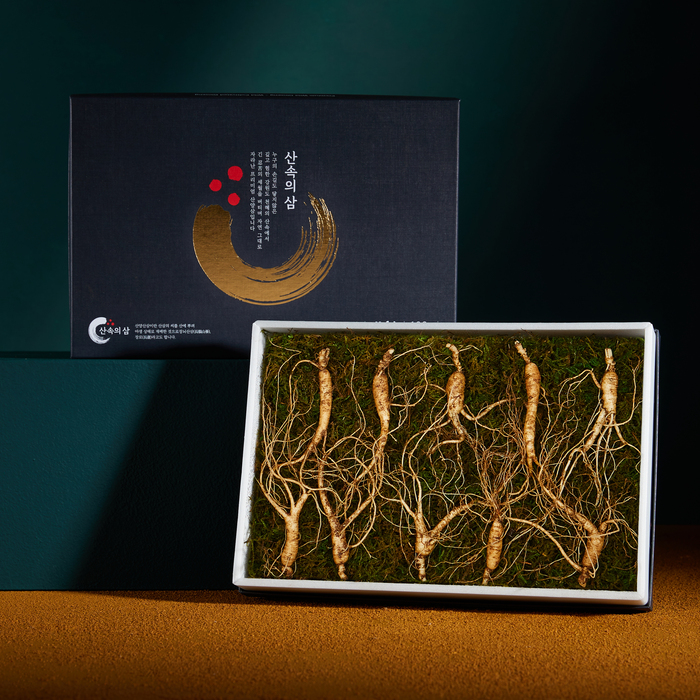 프리미엄 산속의삼 8년근 산양삼 10뿌리 산삼 장뇌삼 산양산삼