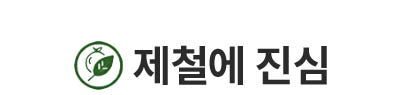대석 자두 피자두 후무사 도담 추희 노지 — 이 계절에 왜 지금 자두를 찾게 될까요?