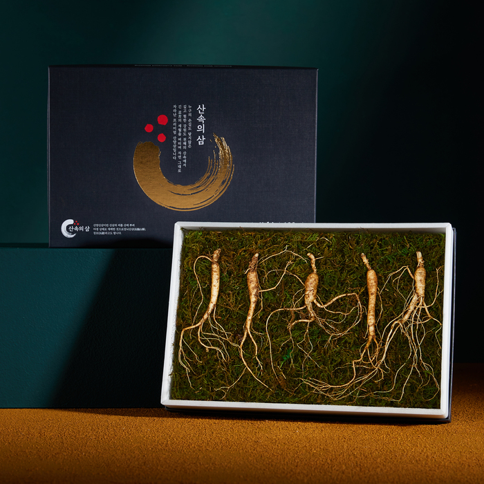 프리미엄 산속의삼 8년근 산양삼 5뿌리 산삼 장뇌삼 산양산삼