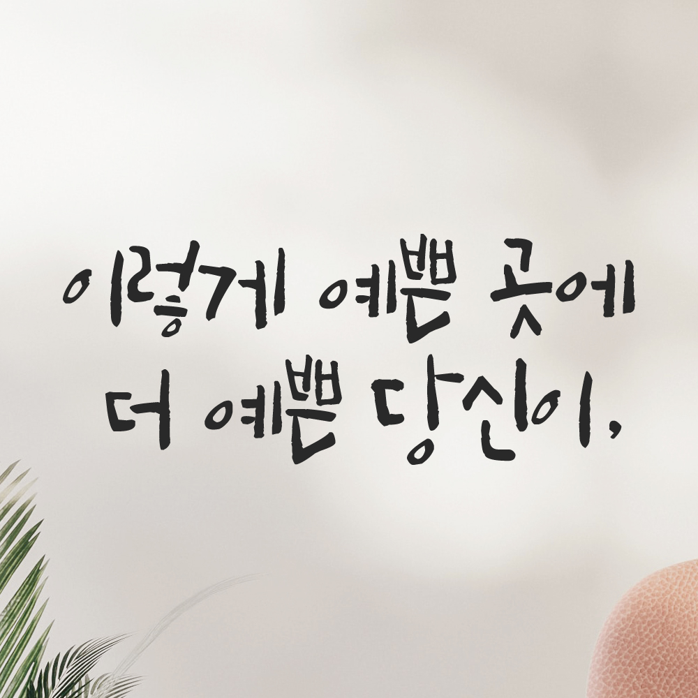 특대형 캘리그라피 레터링 스티커 주문제작 이렇게 예쁜 곳에 더 예쁜 LC-047XL 검정 이미지 7