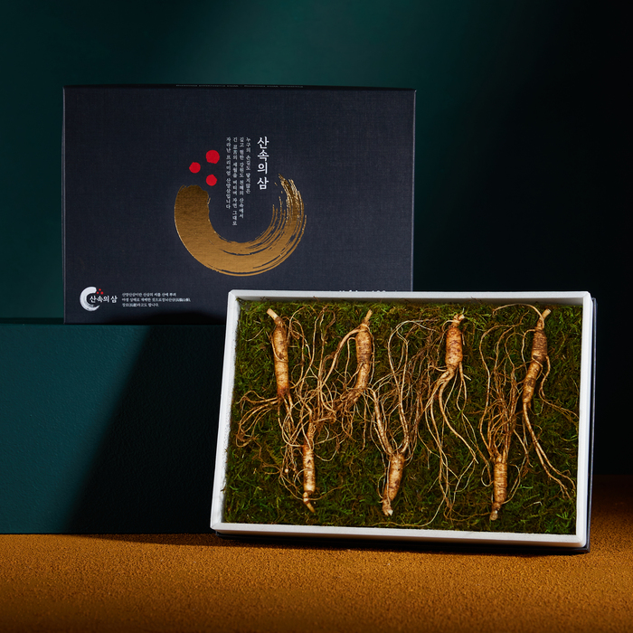 프리미엄 산속의삼 6년근 산양삼 7뿌리 산삼 장뇌삼 산양산삼