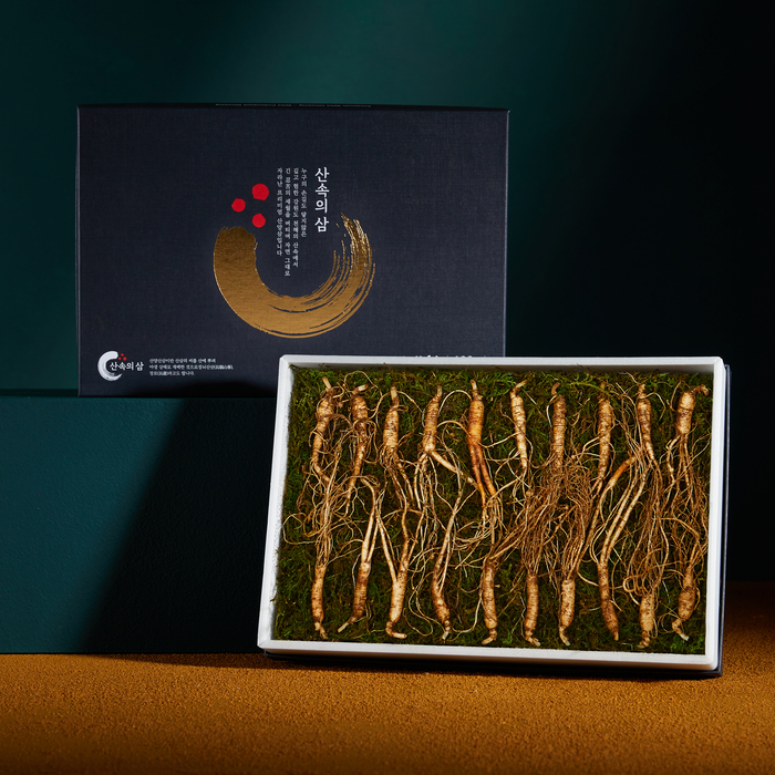 실속형 산속의삼 6년근 산양삼 20뿌리 산삼 장뇌삼 산양산삼