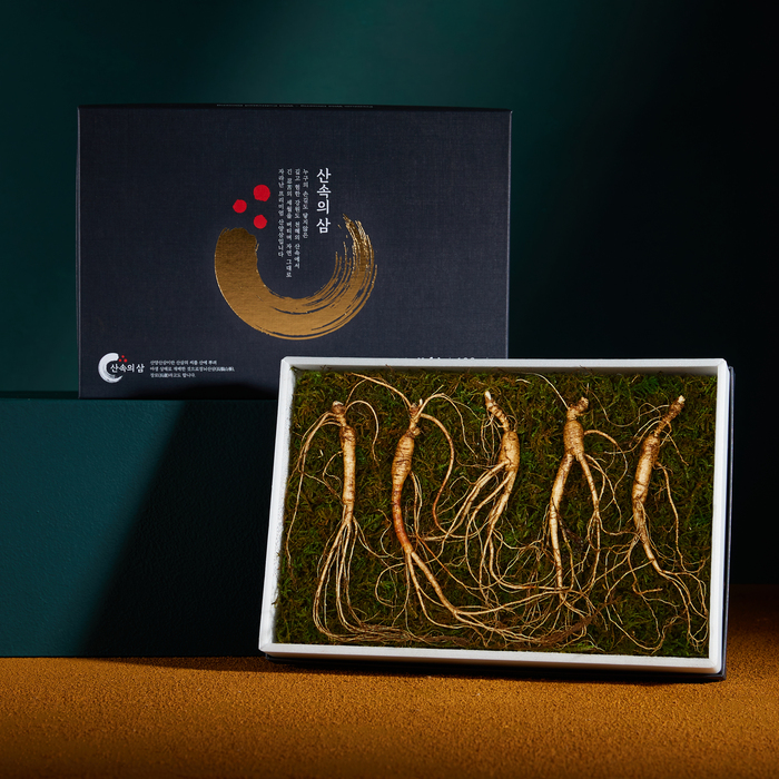 프리미엄 산속의삼 10년근 산양삼 5뿌리 산삼 장뇌삼 산양산삼