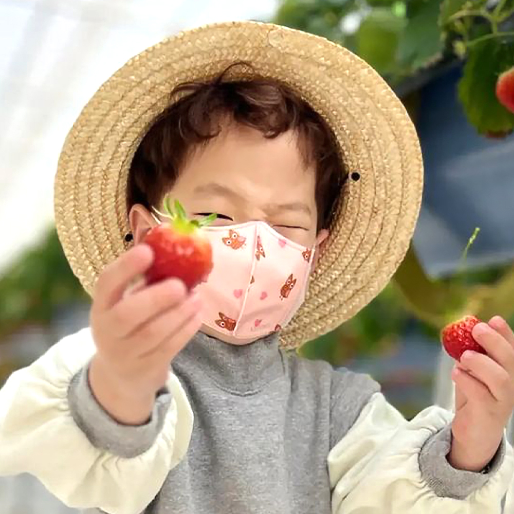 나와아기 초소형마스크 5입(1세트) 부엉이-화이트 끈조절밴드 돌 유아