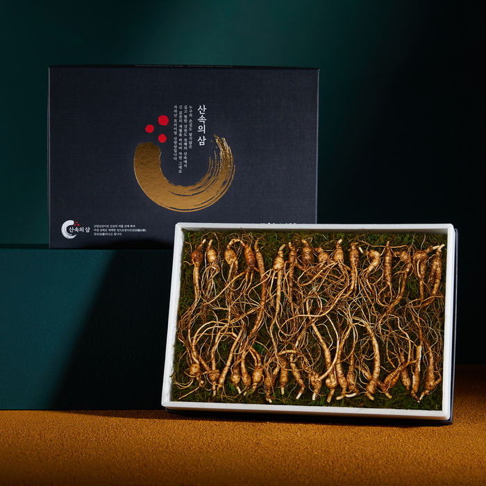 온가족용 산속의삼 6년근 산양삼 100g 산삼 장뇌삼 산양산삼
