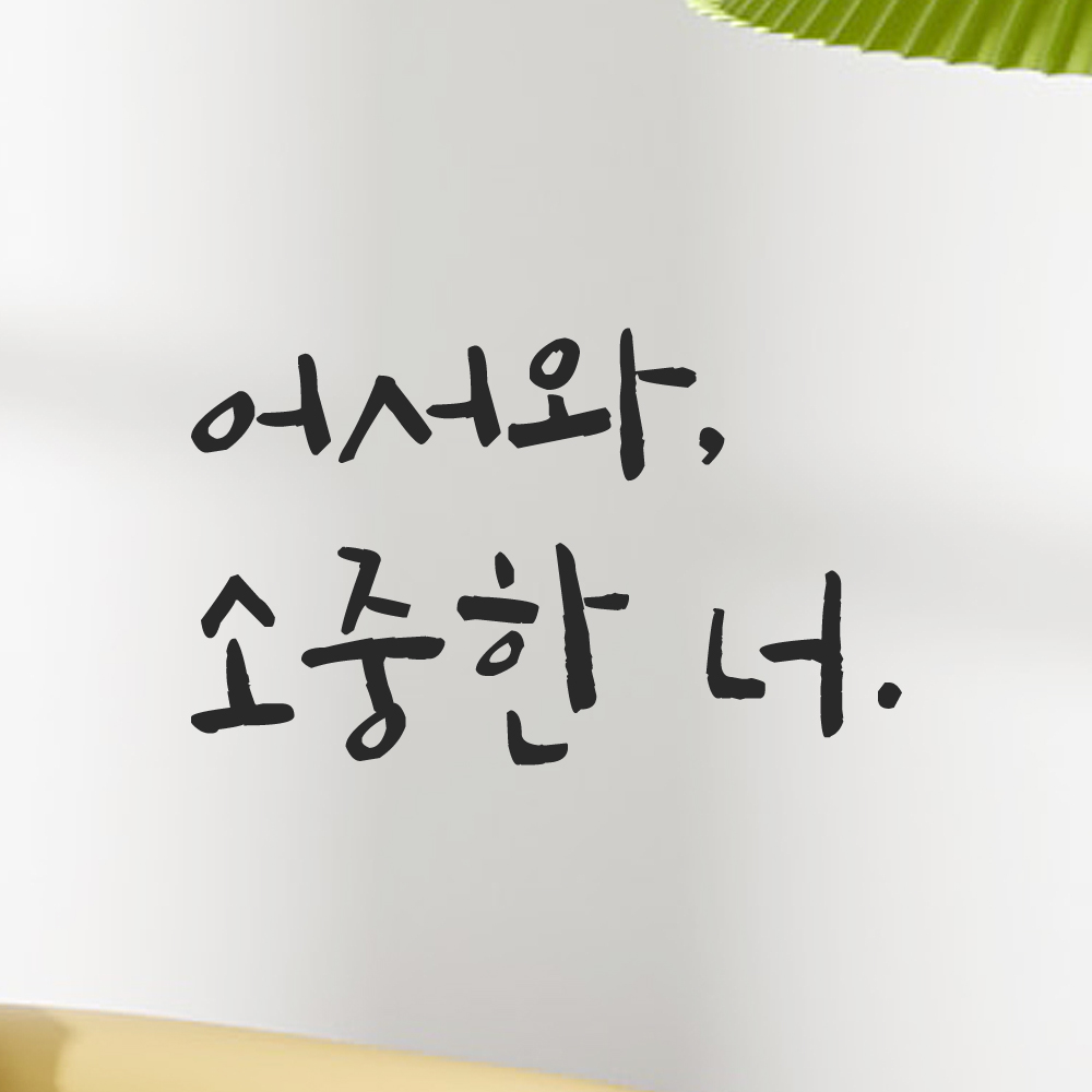 특대형 캘리그라피 레터링 스티커 주문제작 어서와 소중한 너 LC-021XL 검정 - 상품 이미지