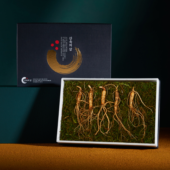 프리미엄 산속의삼 6년근 산양삼 5뿌리 산삼 장뇌삼 산양산삼