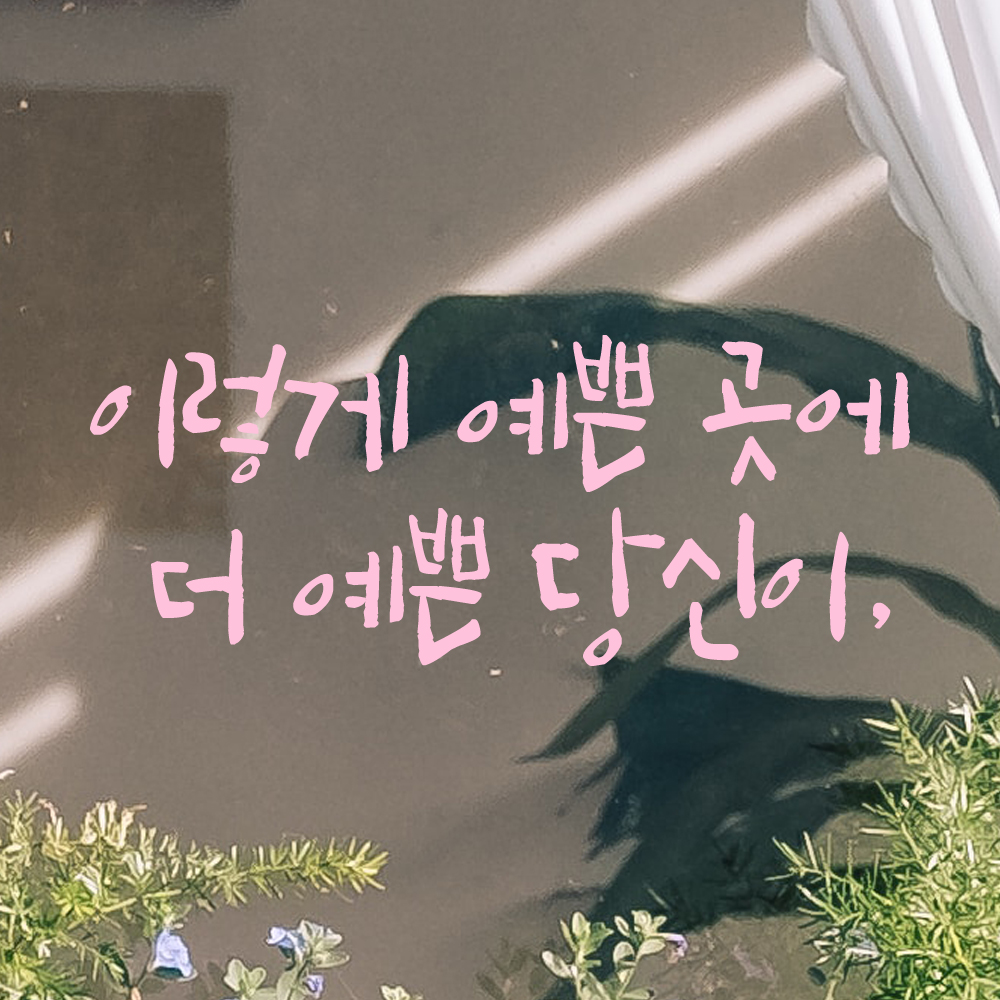 특대형 캘리그라피 레터링 스티커 주문제작 이렇게 예쁜 곳에 더 예쁜 LC-047XL 검정 - 상세 이미지 4